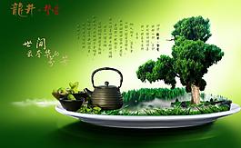 绿茶 龙井图片