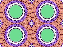 花為背景的幻燈片- 47137959