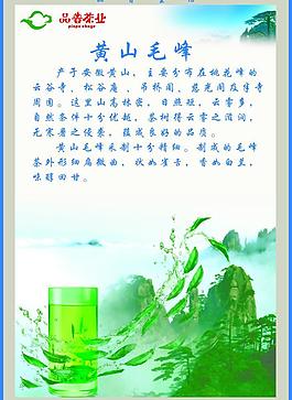 品普茶業 黃山毛峰圖片