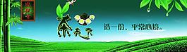 鐵觀音圖片