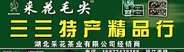 采花毛尖圖片