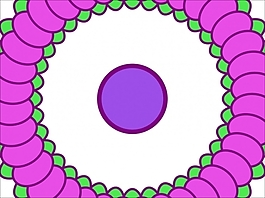 花為背景的幻燈片- 39106755