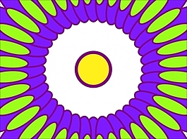 花為背景的幻燈片- 96505577