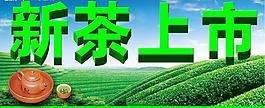 新茶上市圖片
