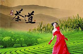 茶包裝圖片