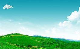 茶山 茶園綠色生態風景圖片