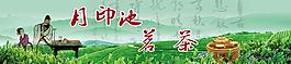 名茶海報(bào)圖片