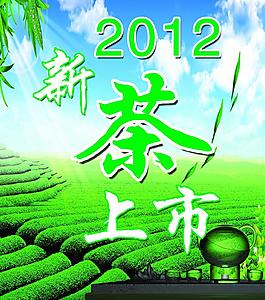 2012新茶上市圖片