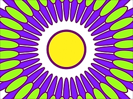 花為背景的幻燈片- 53999646