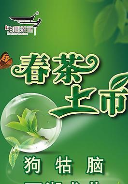 春茶上市圖片