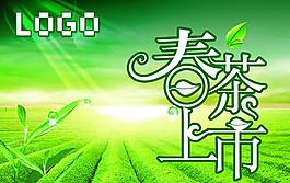 春茶上市圖片