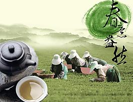 春意盎然茶图片