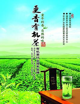 春茶圖片