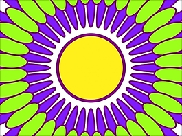 花為背景的幻燈片- 40992188