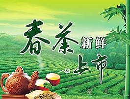 春茶上市圖片