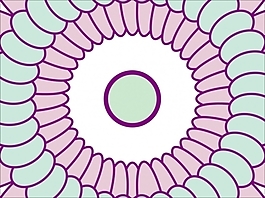 花為背景的幻燈片- 97477071