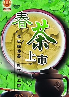 春茶上市圖片