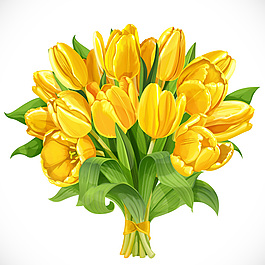 黃色郁金香花束矢量素材