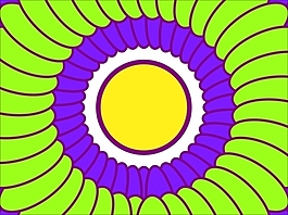 花為背景的幻燈片- 60062277