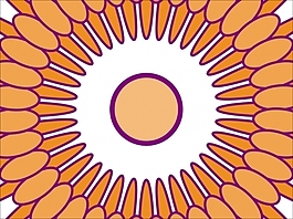 花為背景的幻燈片- 24011557