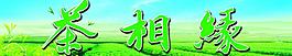 茶相緣門頭圖片