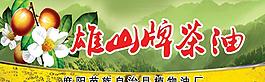 茶油圖片