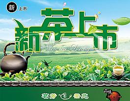 新茶上市圖片