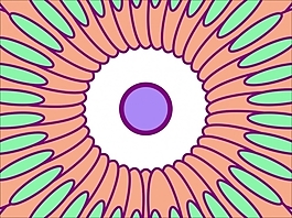 花為背景的幻燈片- 80215130