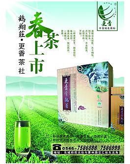 春茶上市圖片
