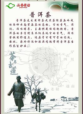 品普茶業 普洱茶圖片