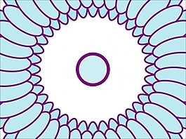 花為背景的幻燈片- 46409721