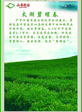 品普茶業 太湖 碧螺春 電梯貼畫圖片
