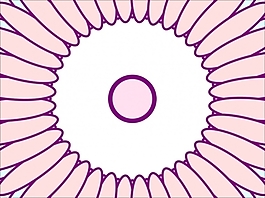 花為背景的幻燈片- 79671207