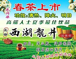 春茶上市圖片
