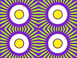 花為背景的幻燈片- 33181709
