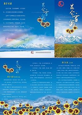 昆侖雪菊宣傳頁圖片