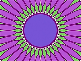 花為背景的幻燈片- 44620156