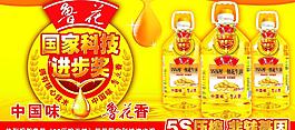 魯花2013創新獎圍圖片