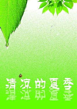 清涼的夏季圖片