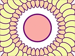 花為背景的幻燈片- 26147155