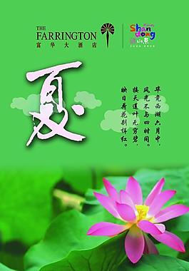 夏季 宣傳折頁圖片