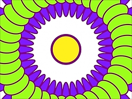 花為背景的幻燈片- 35482052