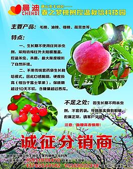 春之夢(mèng)科技園圖片