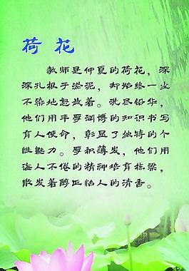荷花圖片