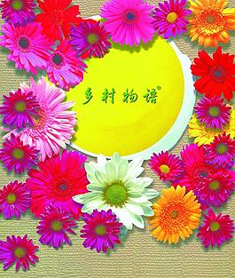 花朵圖片