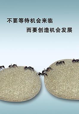 文化海报图片