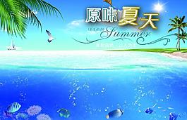 清涼夏日圖片