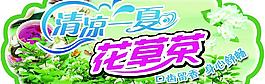 清凉一夏花茶吊挂图片