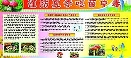 吃菌中毒健康展板圖片