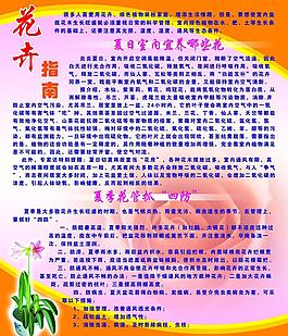 花卉指南圖片
